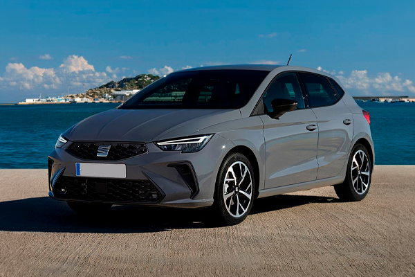 SEAT Ibiza gris junto al mar
