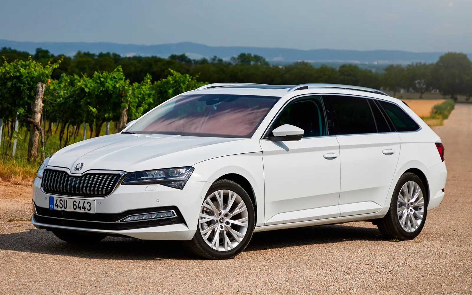 Volkswagen Passat Variant blanco en camino rural, ideal para viajes con perros
