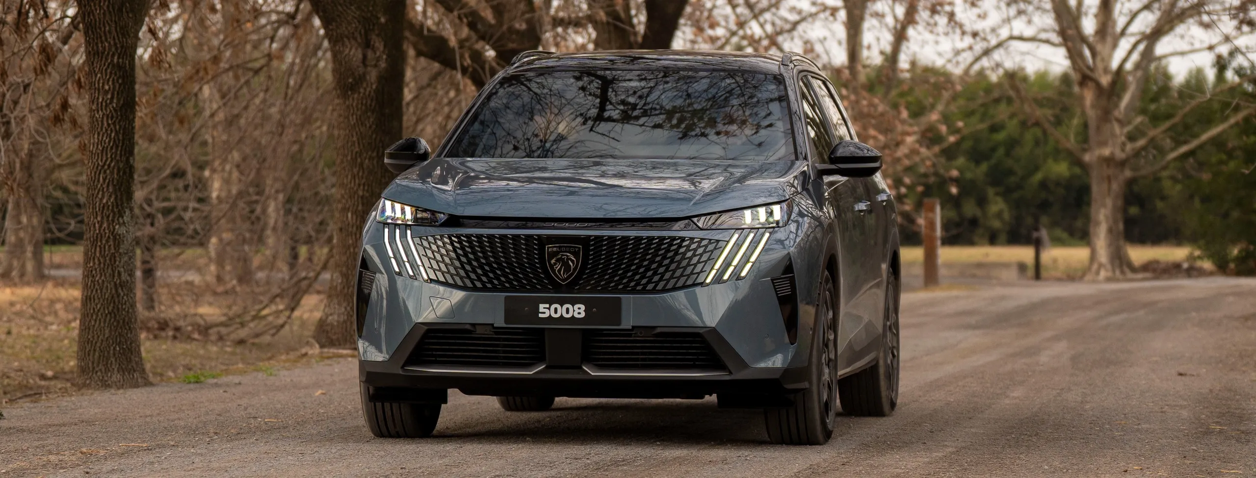 Peugeot 5008 gris aparcado en una avenida arbolada mostrando su diseño frontal