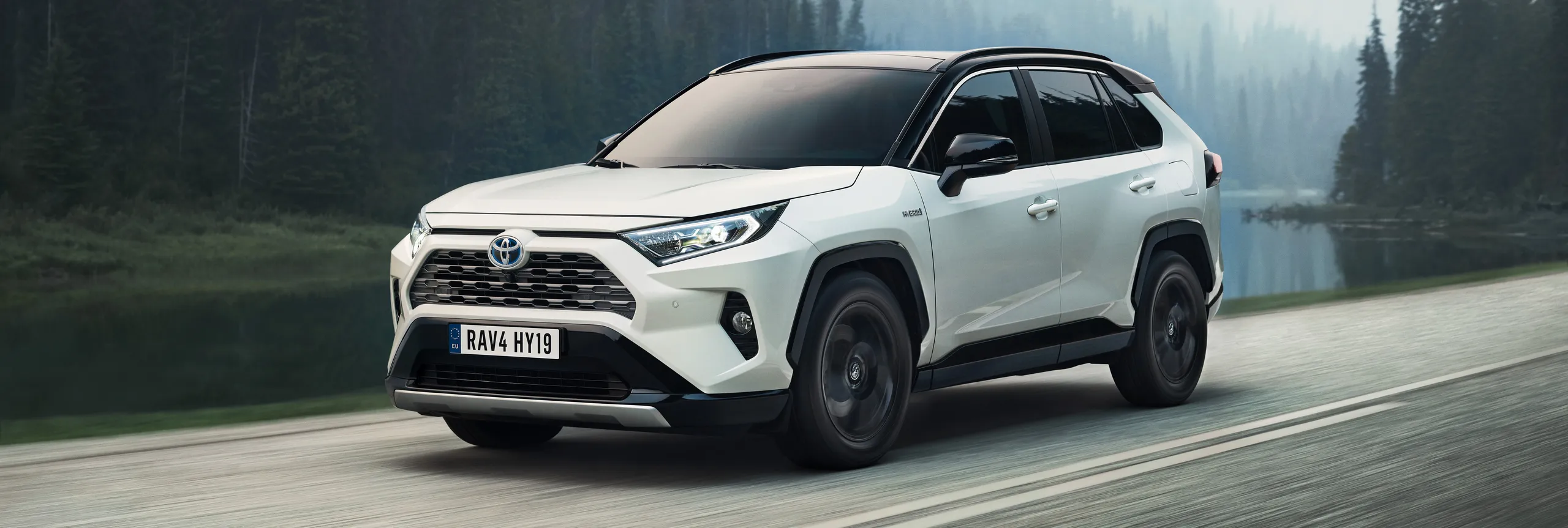 Toyota RAV4 blanco en movimiento sobre carretera junto a bosque