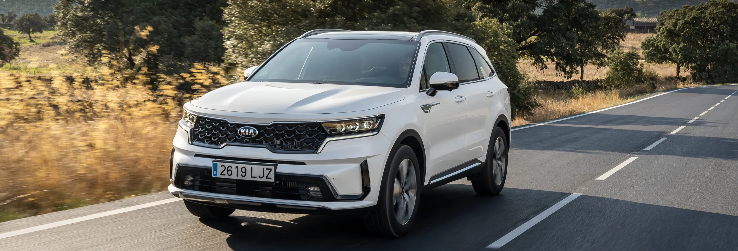 Kia híbrido enchufable blanco circulando por carretera con paisaje rural al fondo