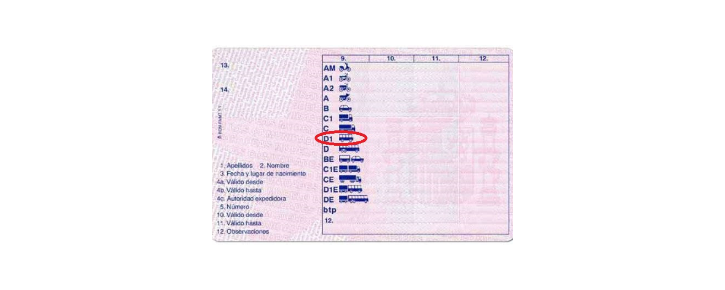 Documento de carnet de conducir español con categorías de permisos destacadas