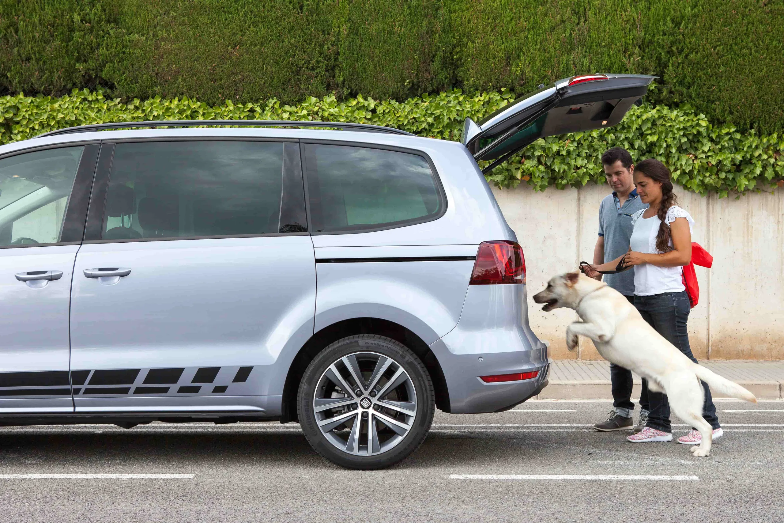 Carplus responde: viajo a menudo con mi perro, ¿qué coche comprar?